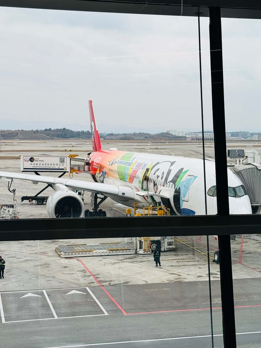 Самолет авиакомпании Sichuan Airlines с логотипом в виде панды. А/к базируется в городе Ченду, где огромный заповедник панд