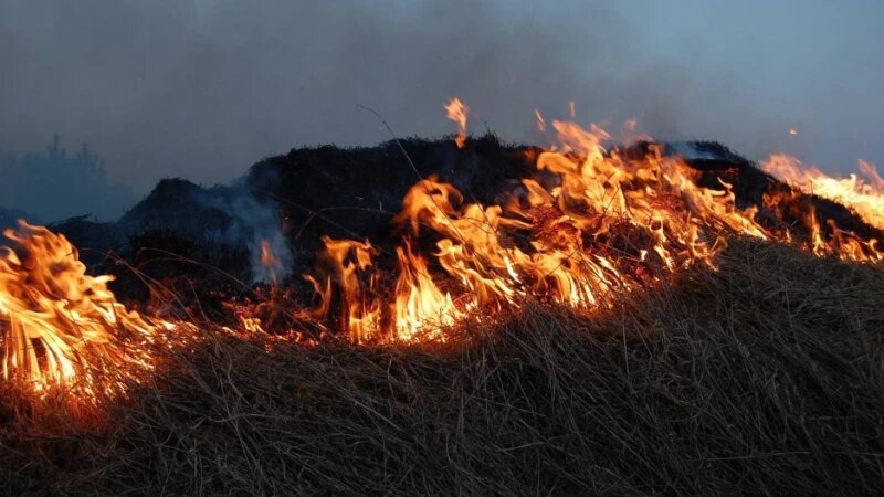     Огонь. Пожар. Горит трава. CC0