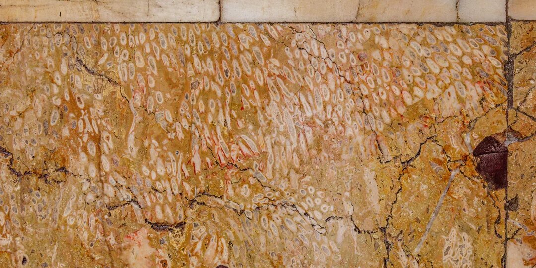 Выставка «РЕЙС В МЕЗОЗОЙ: ПЛАНЕТАРИЙ – МЕТРО»: станция «Динамо»