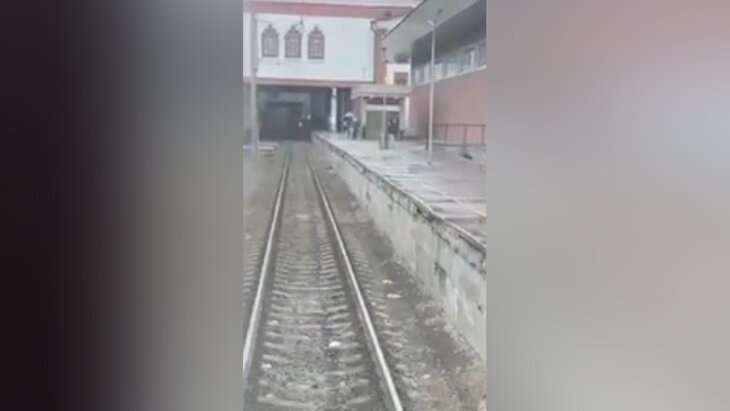    телеграм-канал "Любовь которая поет в ДЕМО"