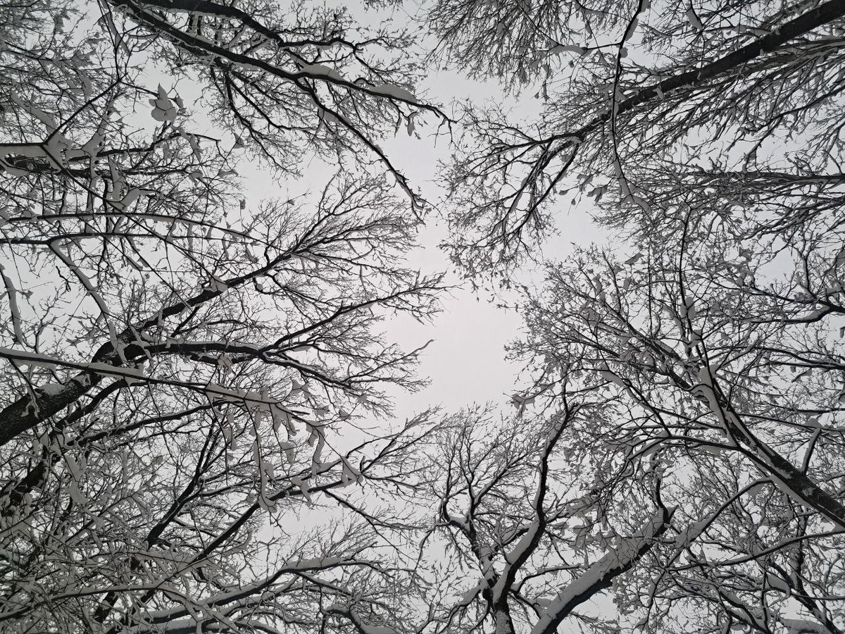 Циклон из Китая принесёт в Приморье дожди, снег и гололед в начале недели.  Фото: Фото: ФедералПресс / Вера Романескул