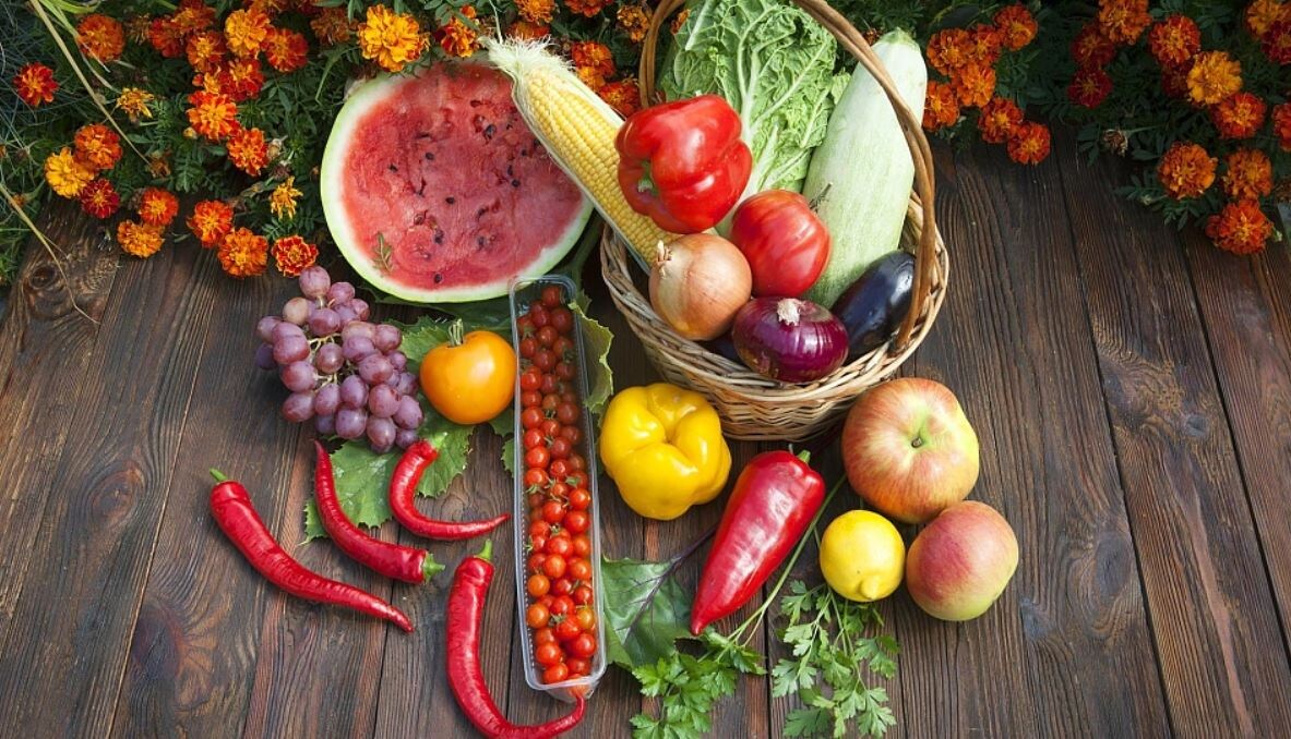 Николай Гынгазов/ТАСС