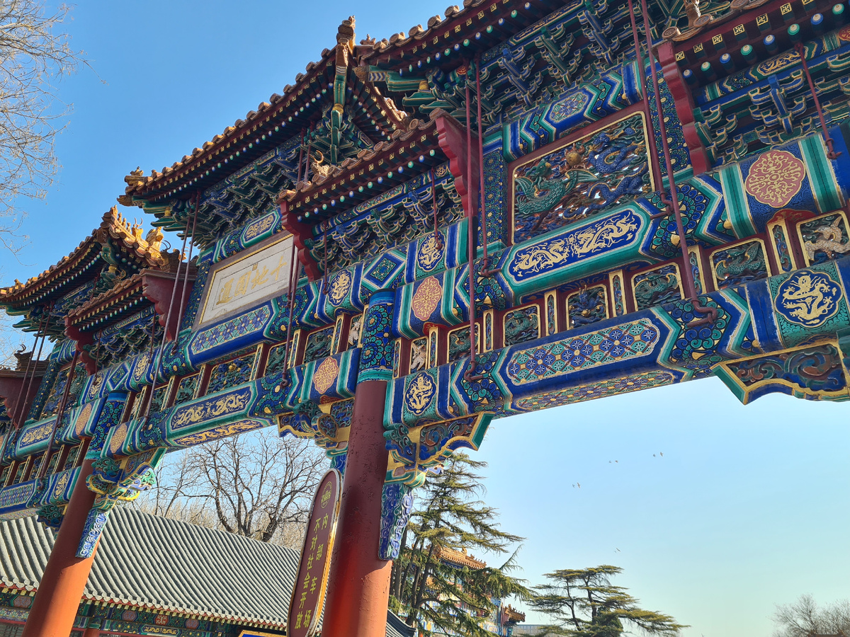 фото взято из личной коллекции