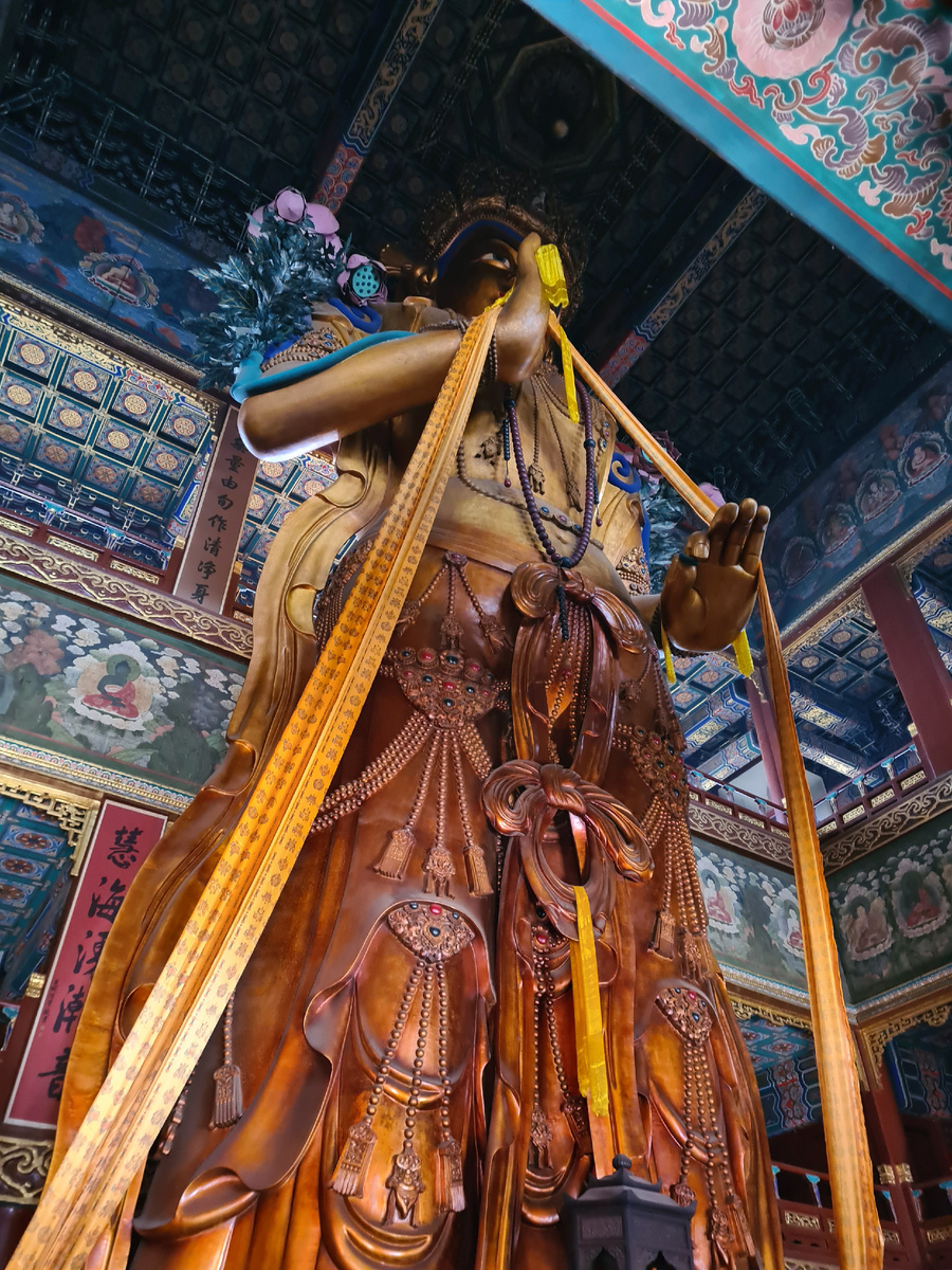 фото взято из личной коллекции