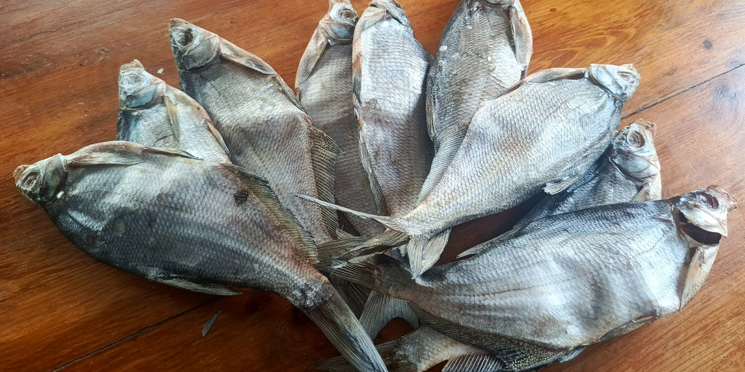 лучший способ вялить рыбу сухим посолом от Петровича