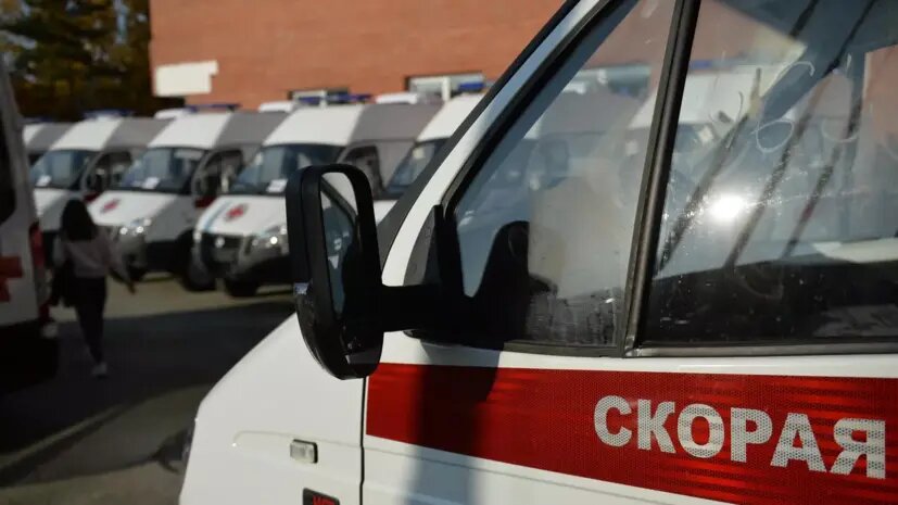    Источник: russian.rt.com Полина Степанова