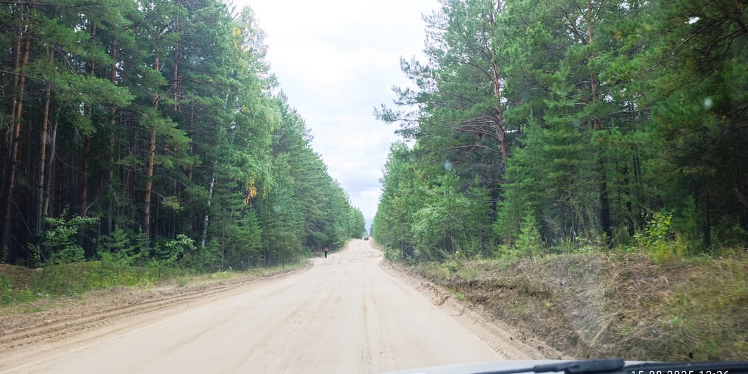 Поездка за грибами пошла не по плану. Караканский бор. Муж до сих пор не знает, что мог остаться без машины.