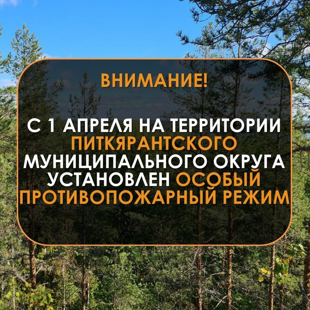    Фото: Минприроды Карелии / ВК