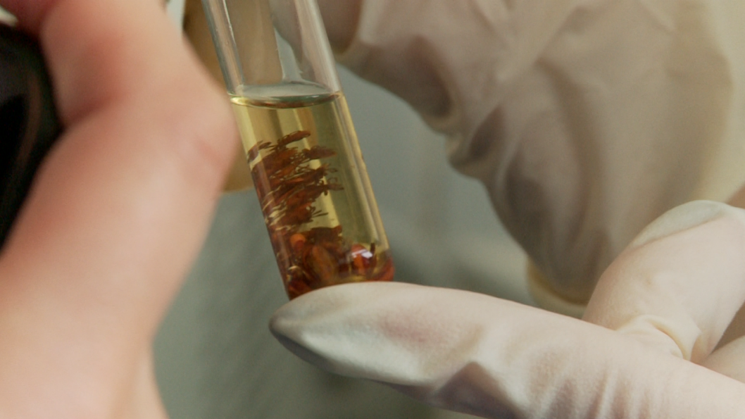 Фото: ИА "Тюменская линия"