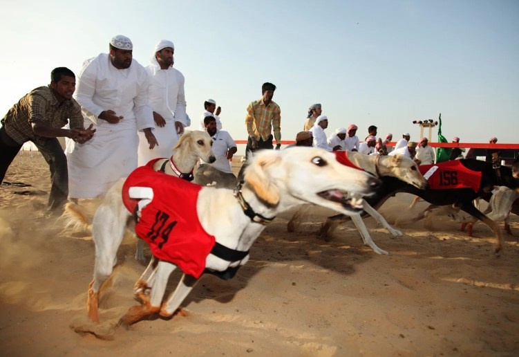 Источник: isabellahunts.com