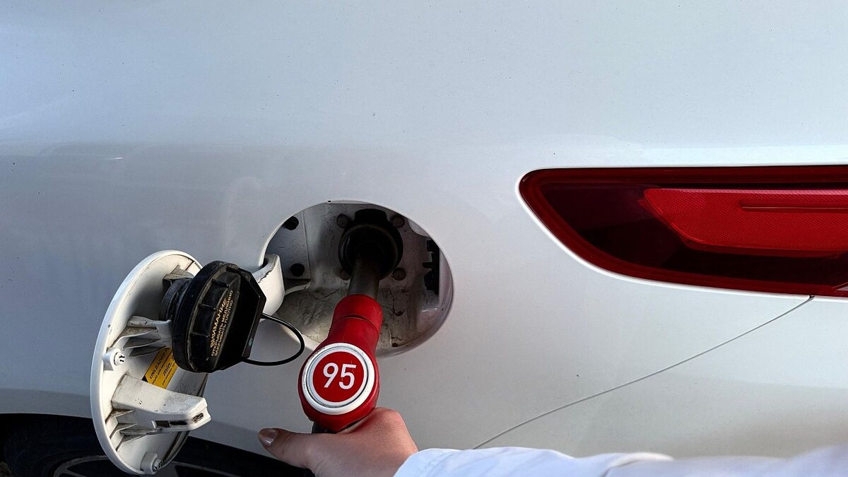    Фото: телеканал «Краснодар»