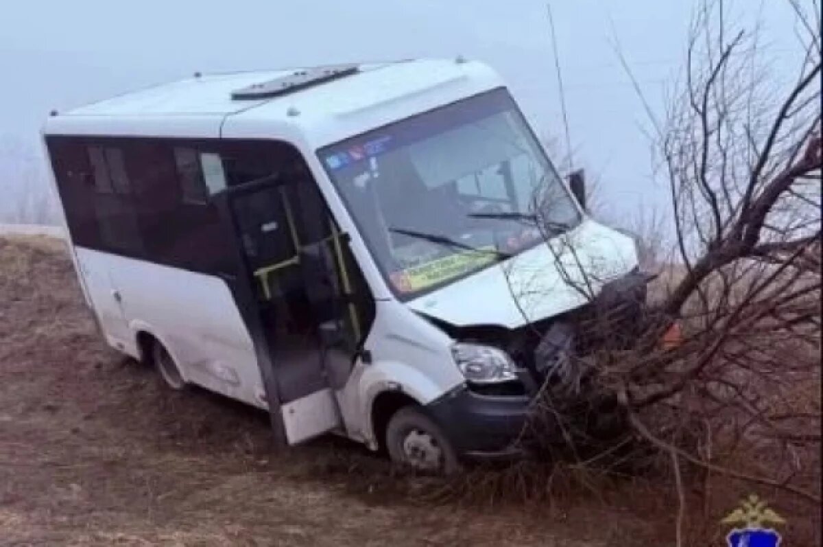    В Самарской области автобус вылетел в кювет, пенсионерка госпитализирована