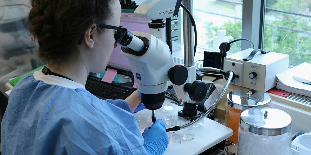 Учёные установили новые сроки начала появления разных групп животных