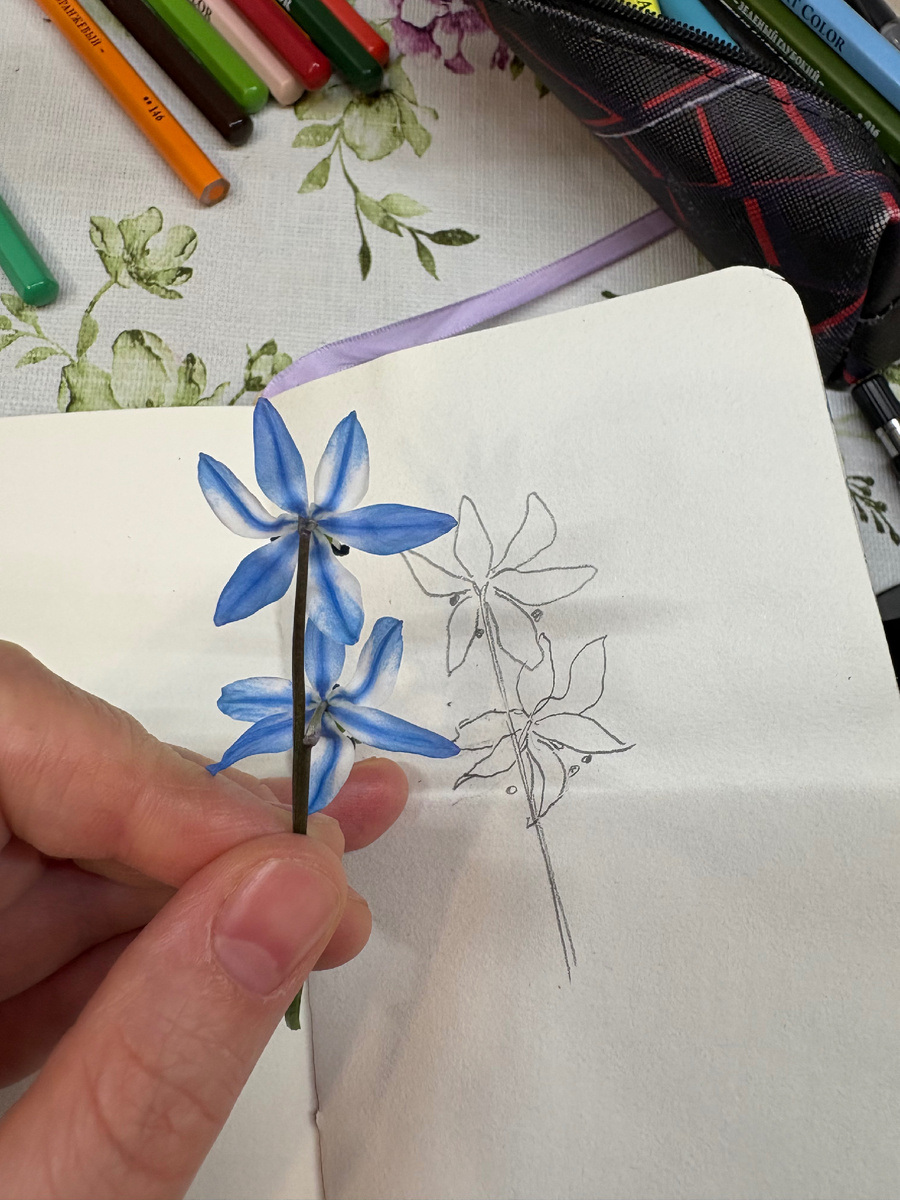 Рисую с натуры. Вид со спины😂