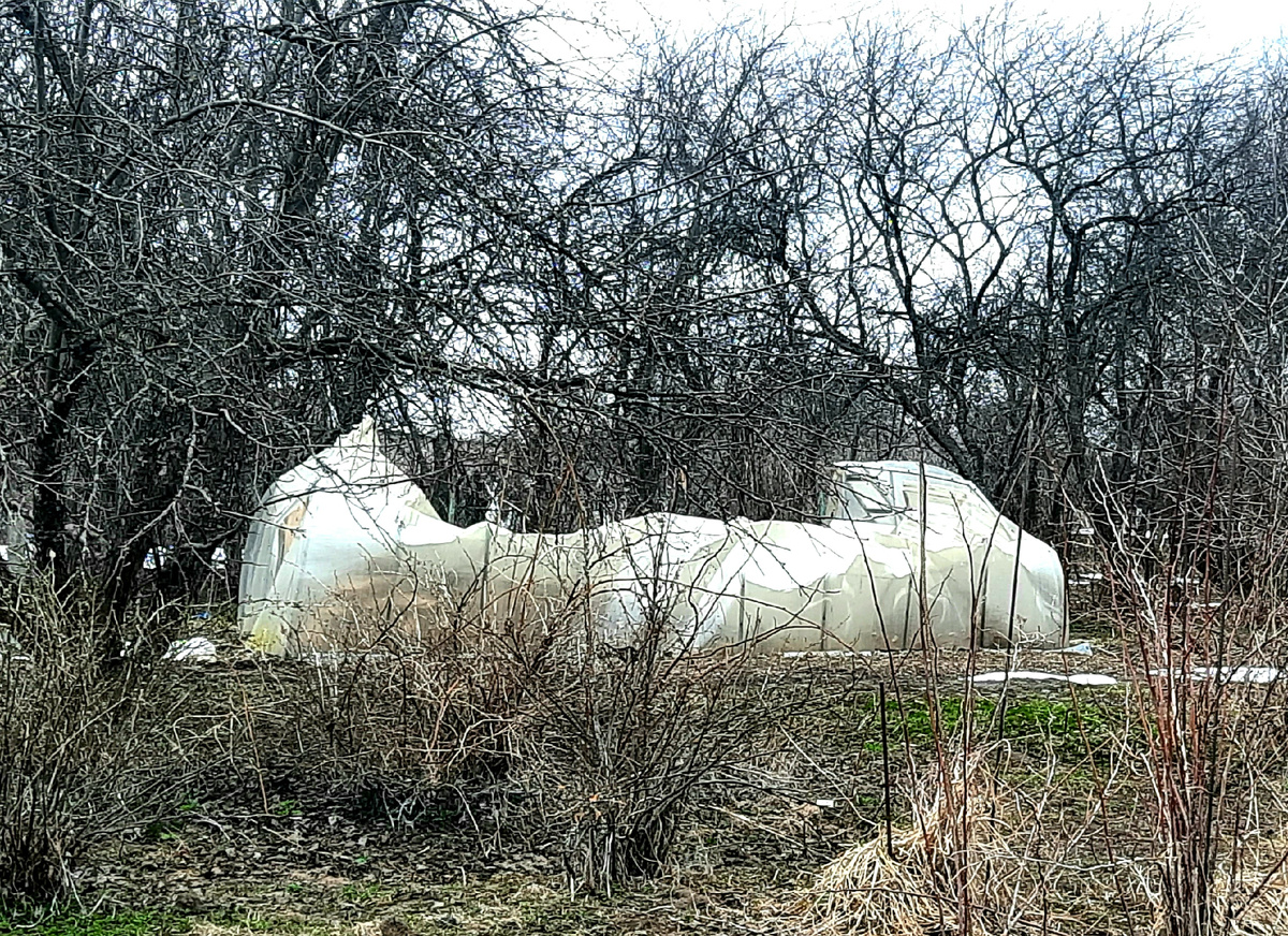 Фото автора.