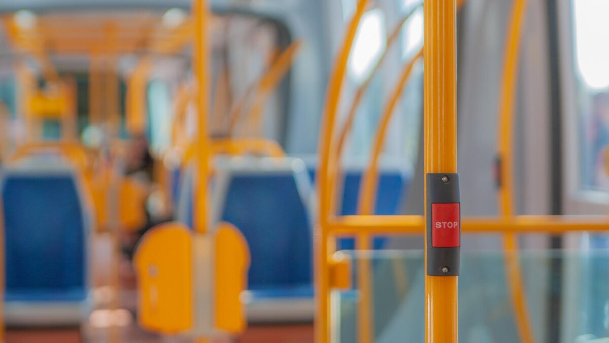    Фото: pexels.com