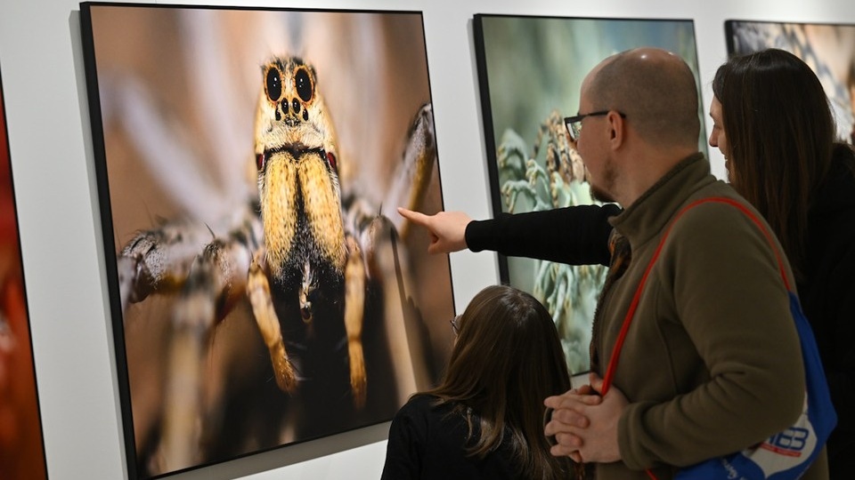 Грозили полицией и судом: За фотографию из интернета «коллекторы» потребовали с ростовчанки деньги спустя 10 лет