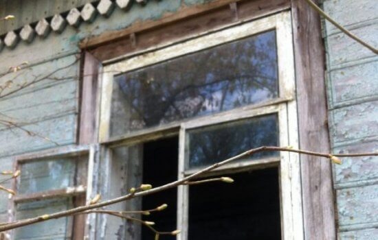    ИА "Орелград"