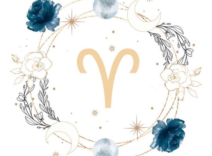 Эффект Овна: почему после неё все остальные кажутся скучными.