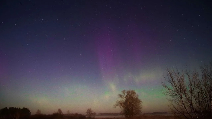    Милена Пономарева