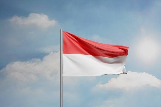    Жители Индонезии поприветствовали заход российских военных кораблей (фото: wikimedia commons/Aerra Carnicom)