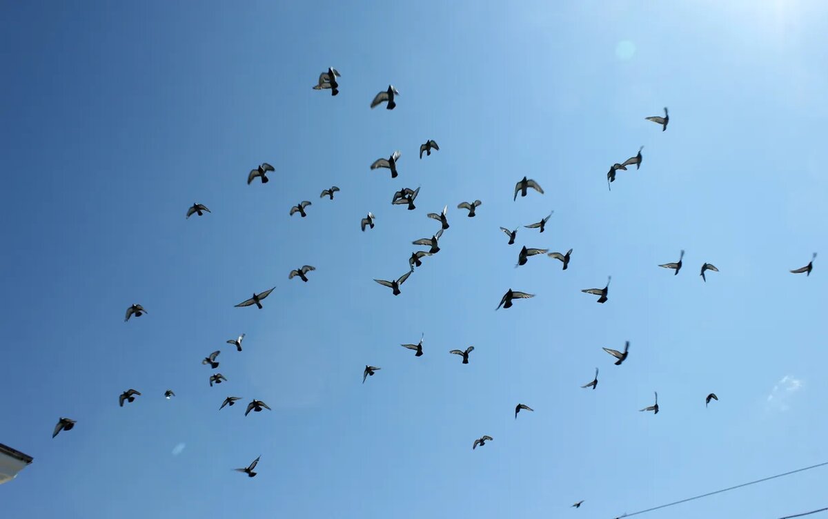    Температурный рекорд для 2 апреля обновился в Ижевске