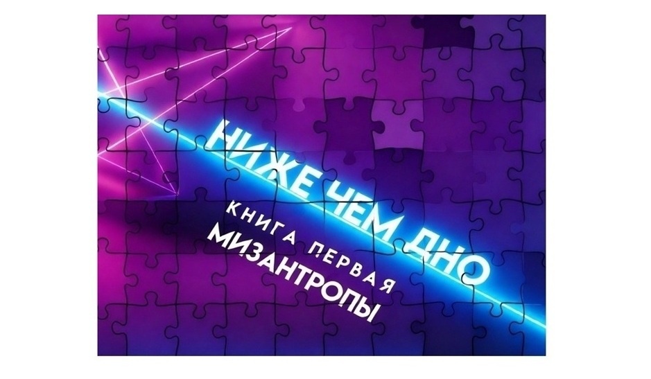 Нестеркин, Сергей Владимирович. Ниже чем дно : [16+]. Мизантропы. — Москва : КнигИздат, 2024-, 2024. — 587 c..; ISBN 978-5-4492-0612-1