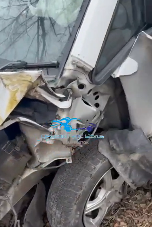    Источник фото: Скрин видео