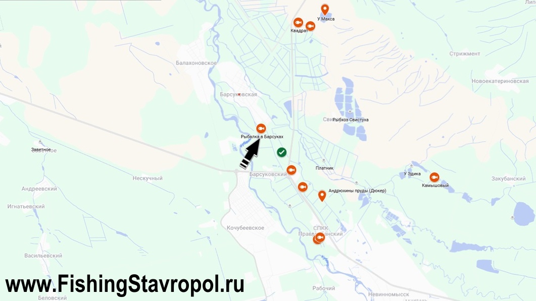 Платная рыбалка в Барсуках