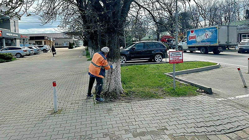    Все вместе - на субботник!