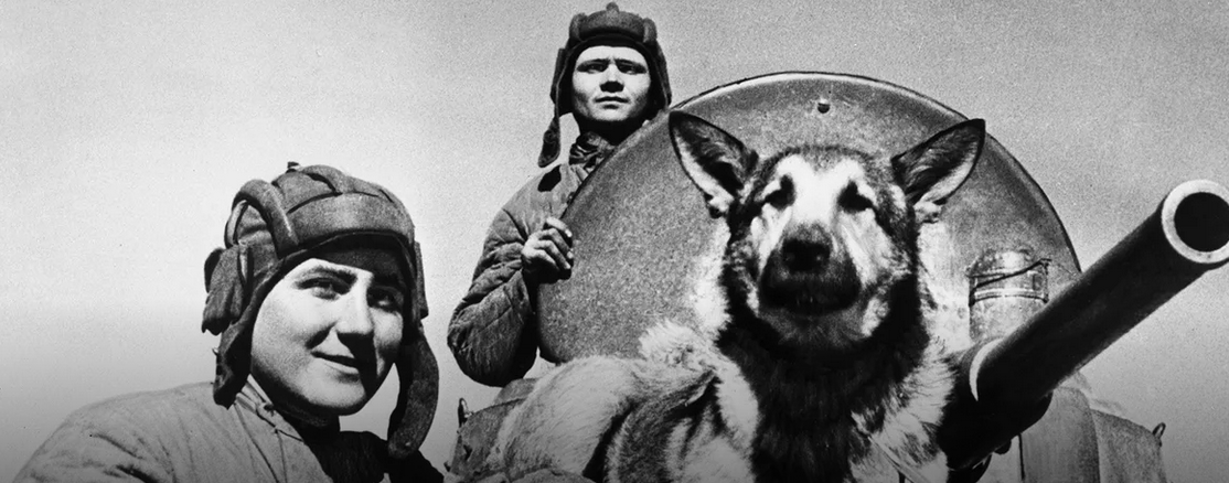 Эммануил Евзерихин, ТАСС