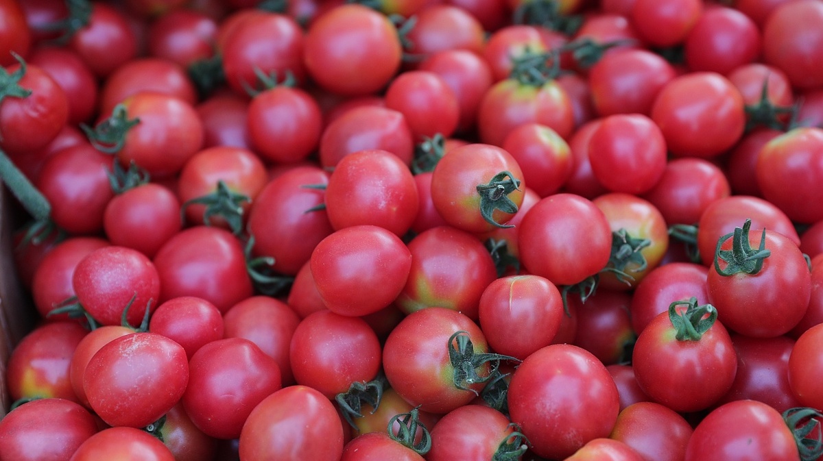     Фото: Станислав Телеховец