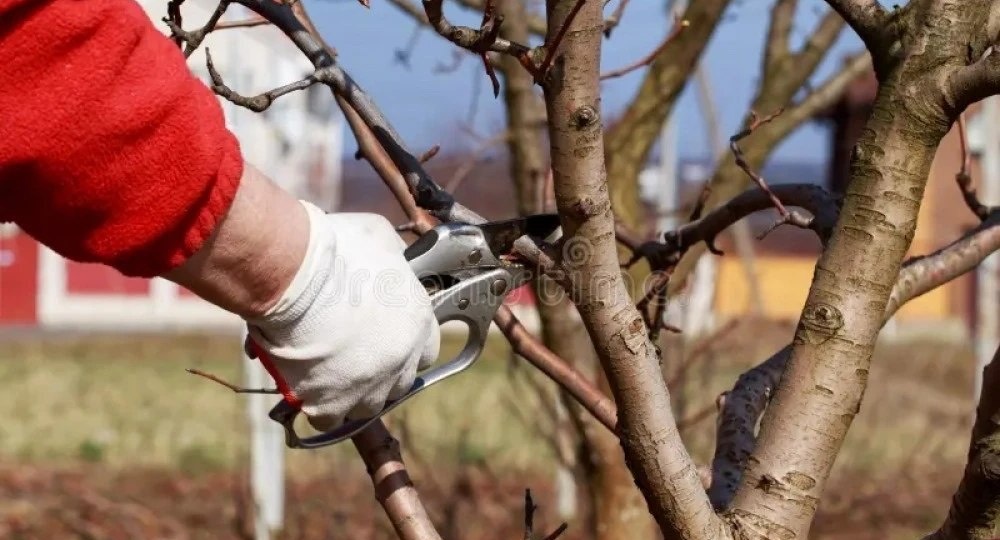 🚨🌸 SOS! Весна не ждет