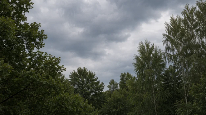 Фото: Изображение создано при помощи нейросети