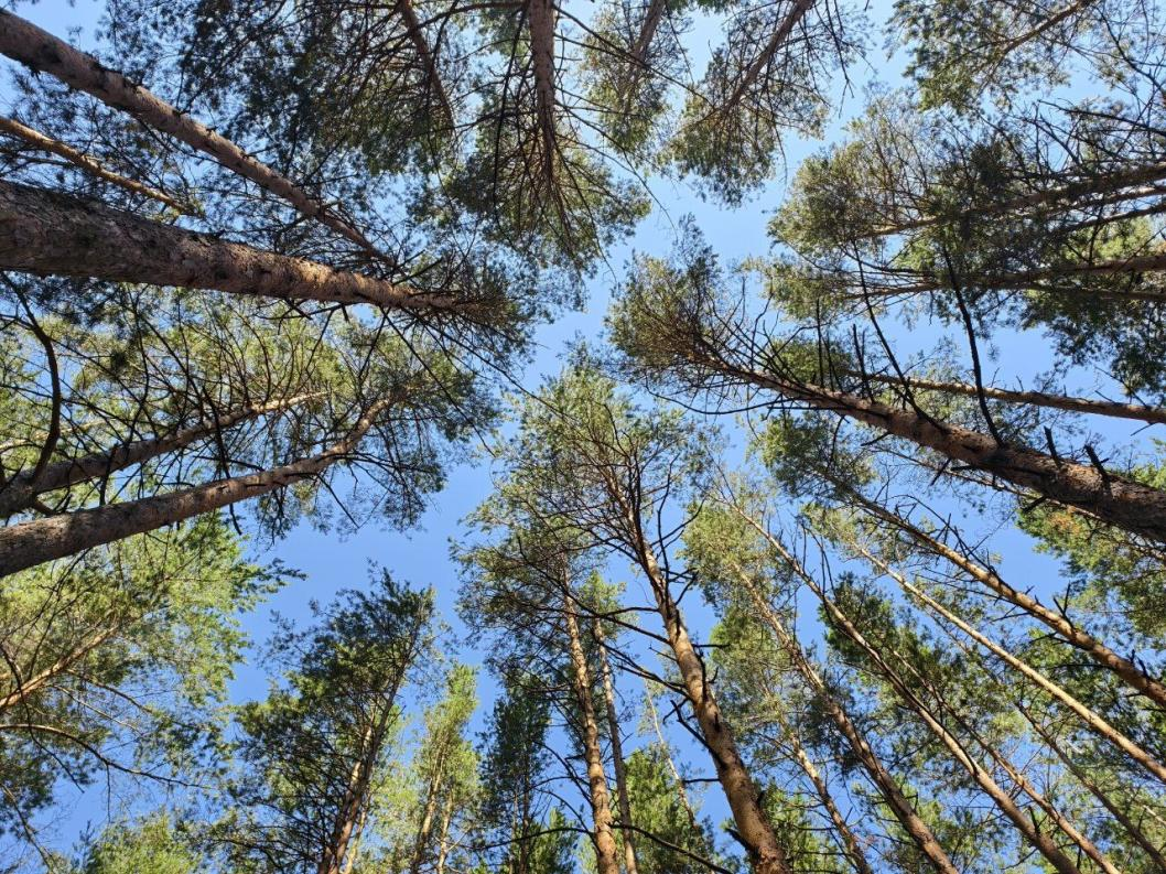 Любовь Бушмакина, ИА "Тюменская линия"