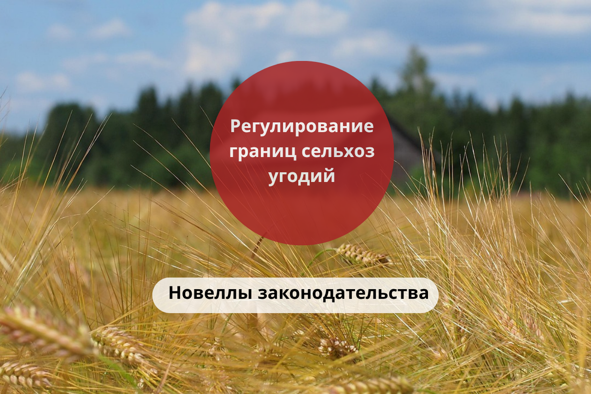 Новеллы законодательства в сфере регулирования границ сельскохозяйственных угодий / Правовой центр «Два М»