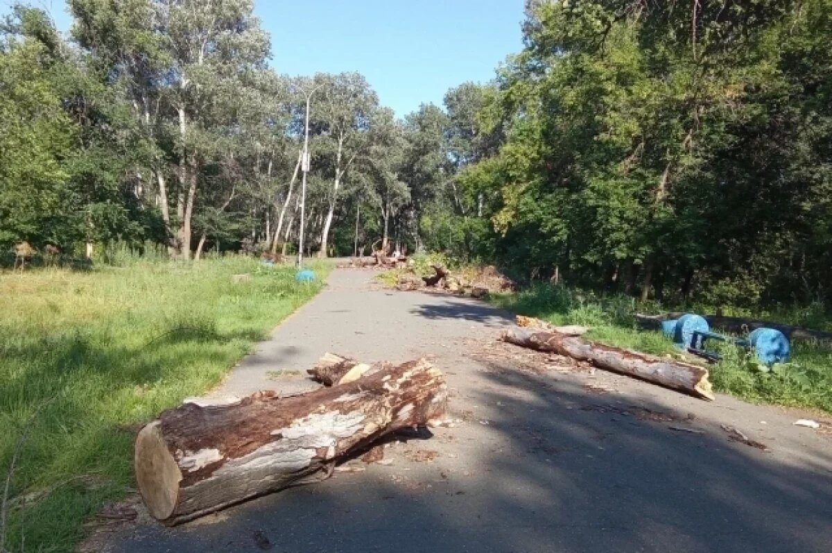    Хозяин-барин!