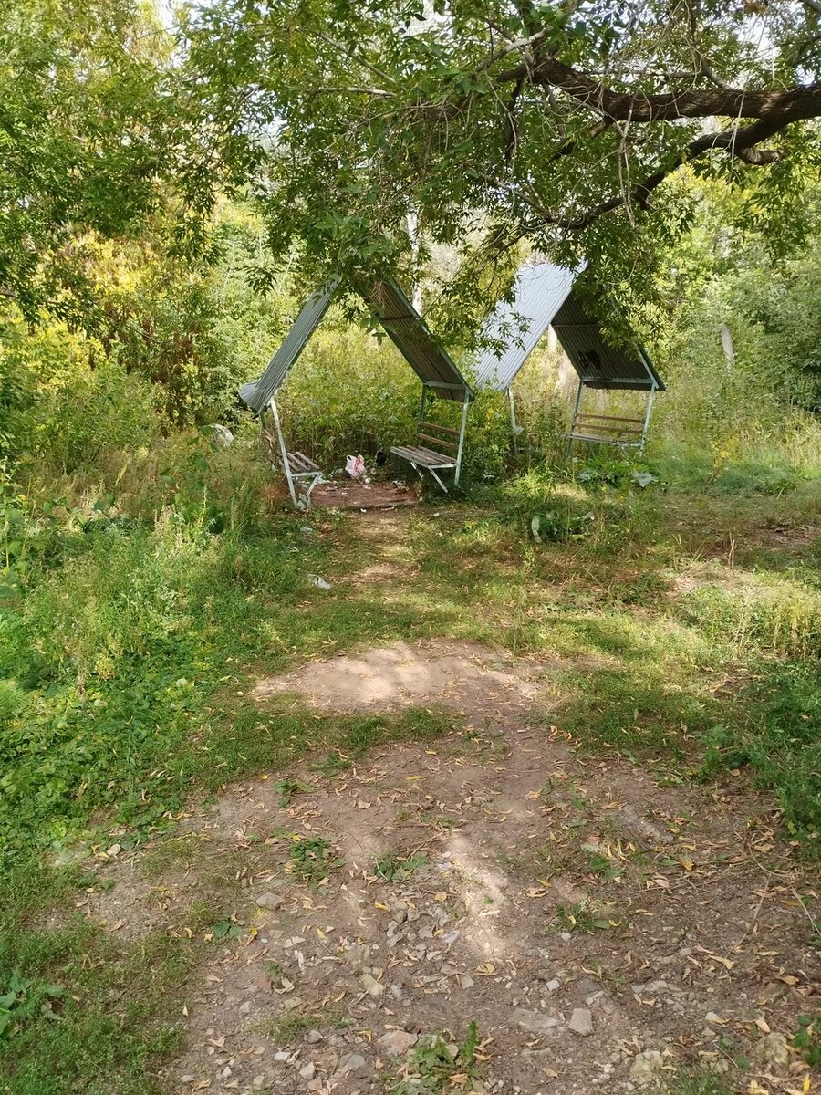    Зауральная роща Оренбурга. Фото: Яндекс.Карты