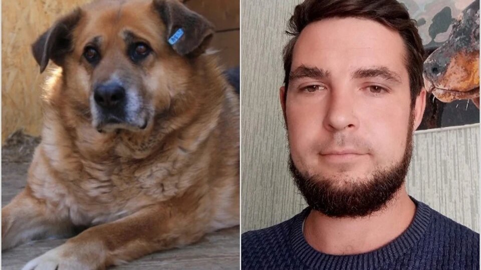Мужчина устроился в приют, чтобы найти свою пропавшую собаку: встреча состоялась через три года