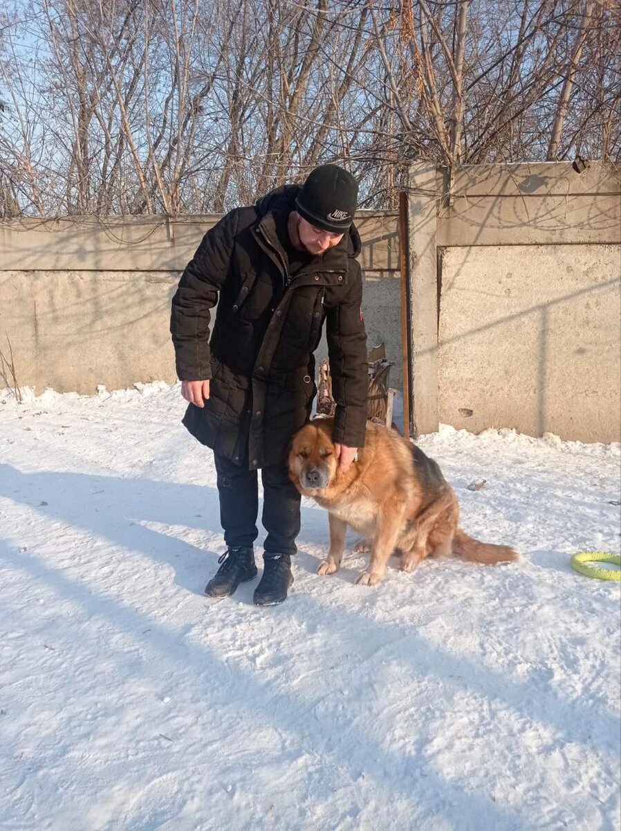 Сейчас хозяин и собака снова вместе! Фото: общественная организация "Бездомный пес".