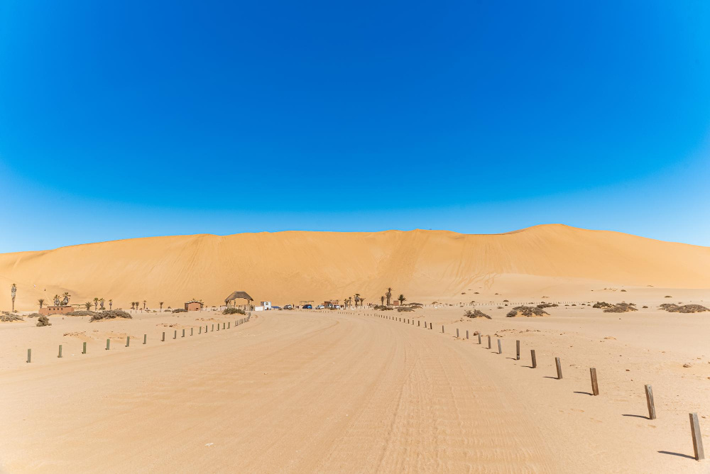    ru.freepik.com / @Mateus Andre