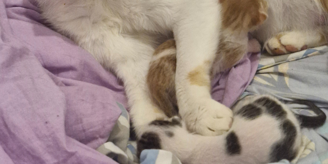 Моя повседневность