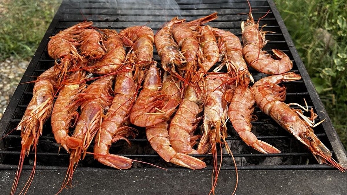    Фото: телеканал «Краснодар»