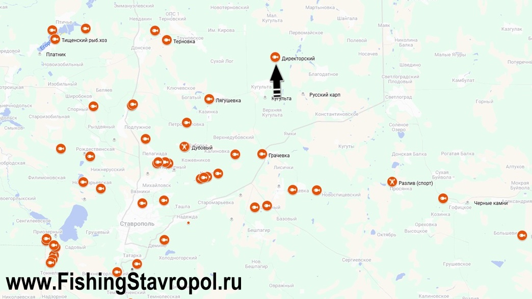 Платная рыбалка "Директорский"