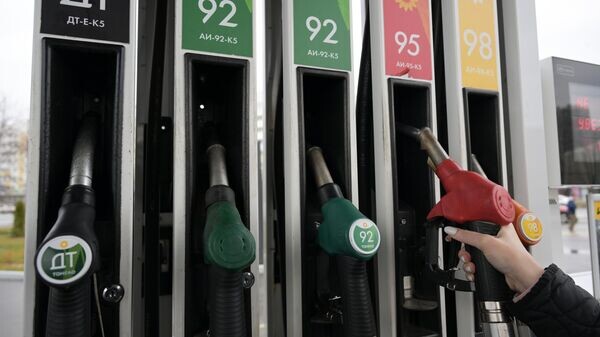    © Sputnik / Максим Богодвид