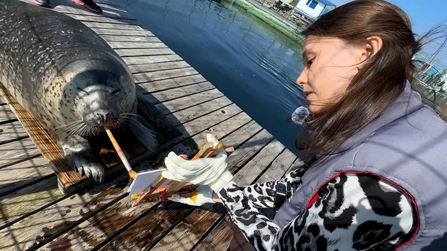    © АО "ТВ Центр"