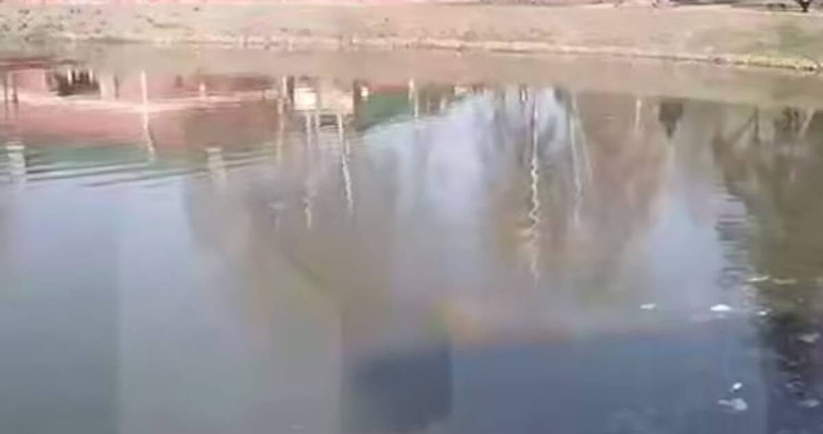    Фото: скриншот видео / РЕН ТВ / Telegram