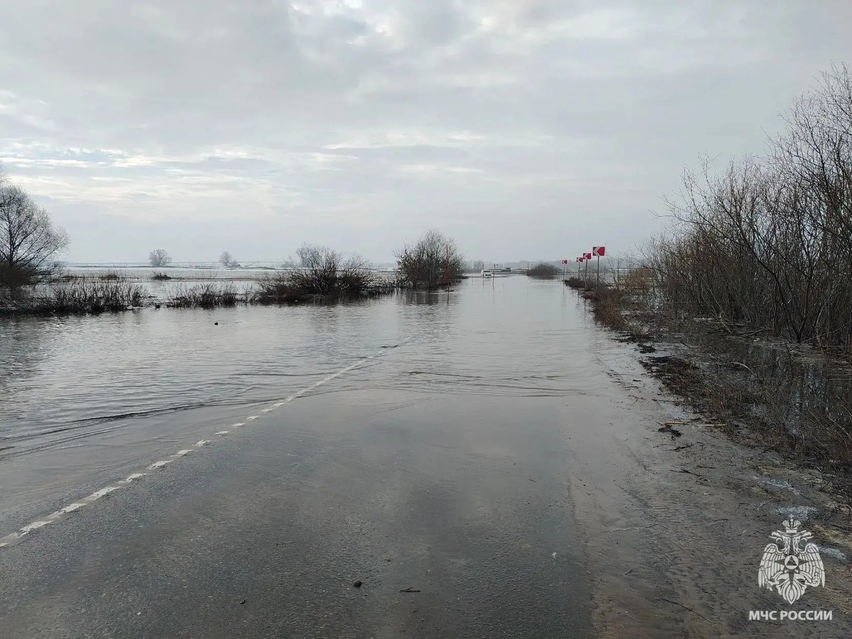    Фото: МЧС России по Рязанской области