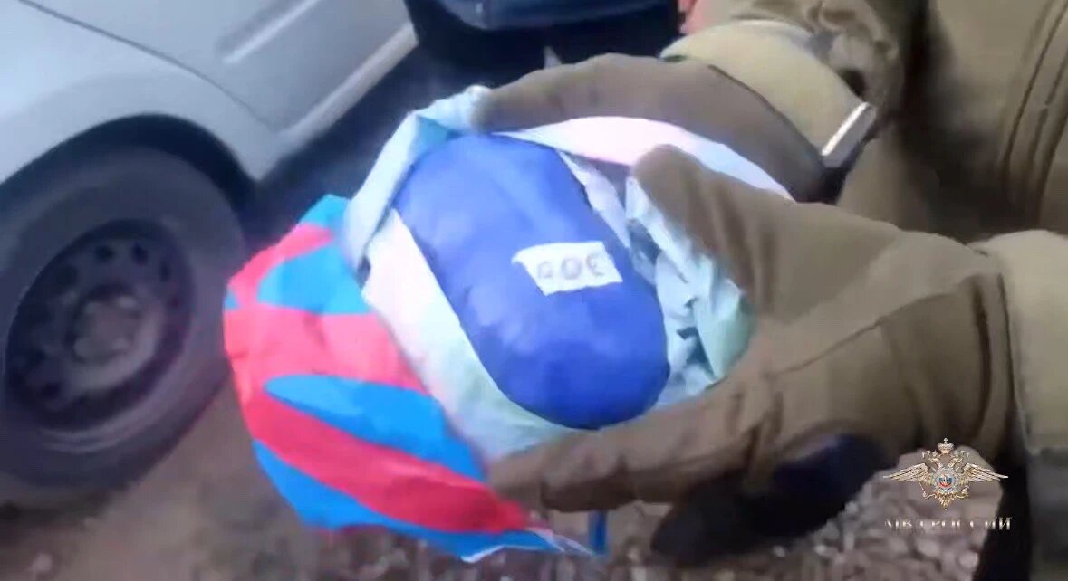    Фото: стоп-кадр видео МВД РФ