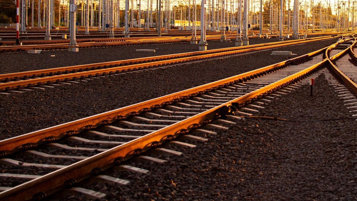    Фото:mis.catalice/Shutterstock/Fotodom